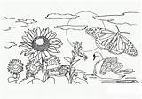 Nature Coloring Pages Printable Kids Color Print Flowers Book Animals Scene Mat Nice sketch template