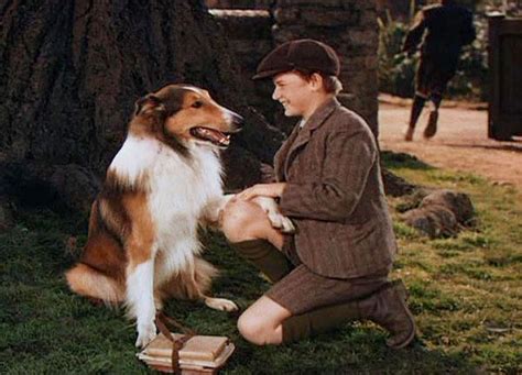 a march through film history lassie come home 1943