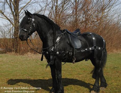 knight horse saddle google search mittelalterliches pferd