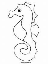 Seahorse Coloring Pages Baby Template Sea Horse sketch template