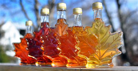 canada tapping  maple syrup strategic reserves  global shortage