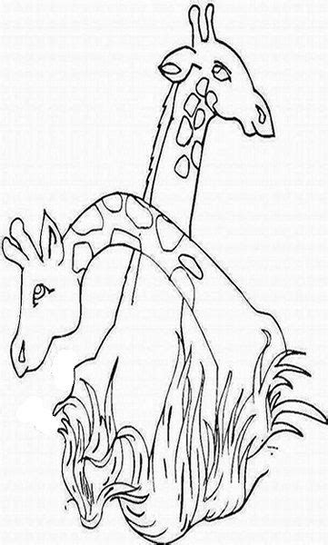 zoo animals kids coloring pages   colouring pictures  print