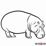 Hippopotamus Wild Sketchok sketch template
