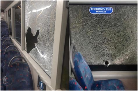 mcgills buses reveal shocking snaps  broken bus windows  scooter hurled  coach