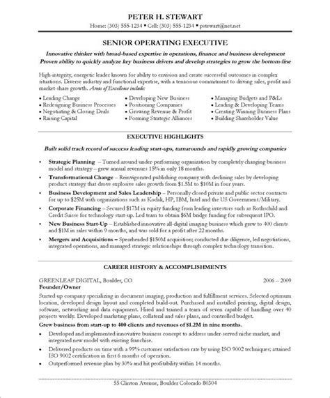 ceocoo page executive resume  resume samples resume writing