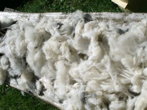 reasons   love wool crafts thistle dubh ewe
