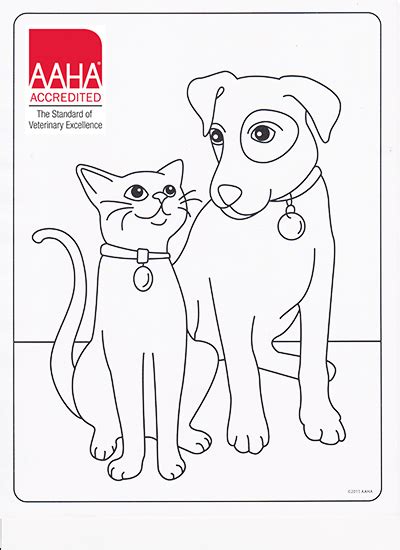 coloring page  cat  dog halloween coloring pages cats dogs