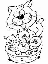 Kleurplaten Poes Poesjes Jongen Katten Schrijf sketch template