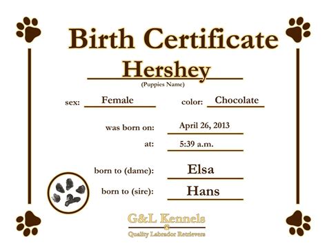dog birth certificate template puppy birth certificates dog adoption