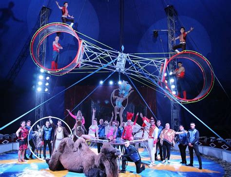coronavirus circus clown  acrobats left stranded  uk bbc news