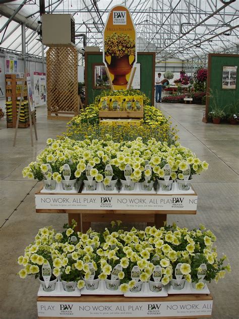 winning  proven winners displays greenhouse canada