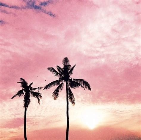 Palm Trees Via Tumblr Image 2776719 By Lauralai On