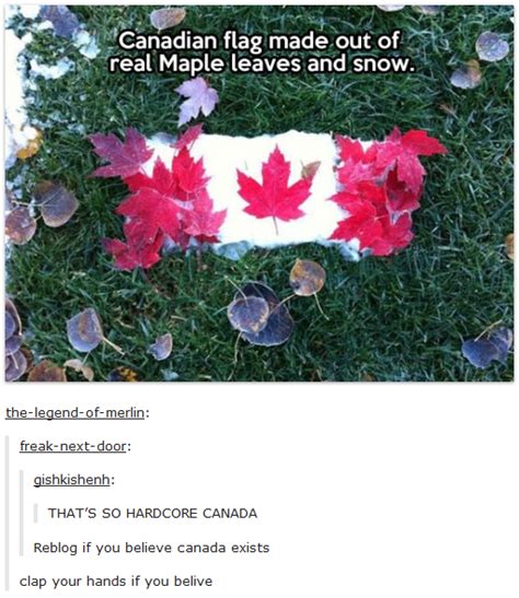 23 hilarious times canada totally crushed it on tumblr thought catalog