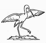 Stork Storks sketch template
