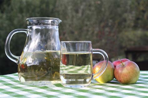 apple cider vinegar  weight loss