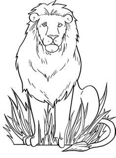 lion coloring pages  print lion color page tiger color page plate