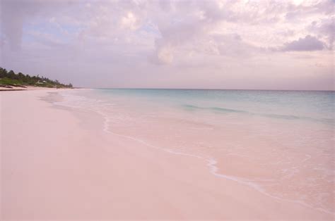 This Pink Sand Beach In The Bahamas Will Top Your Travel