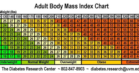 check bmi chart  calculate  bmi body mass index