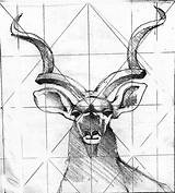 Kudu Drawing Drawings Animal Pewter African Choose Board sketch template
