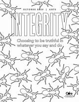 Integrity sketch template