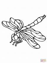 Dragonfly Coloring Pages Drawing Print Printable Colouring Supercoloring Color Sheets Popular Kids Adult sketch template