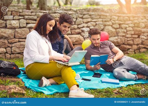 3 молодые люди на пикнике сидя на одеяле под оливкой Стоковое
