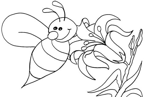 bumble bee coloring page  getcoloringscom  printable colorings