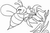 Bee Coloring Bumble Pages Honey Cute Cartoon Drawing Color Outline Printable Beehive Bees Bumblebee Kids Easy Print Getcolorings Animals Draw sketch template