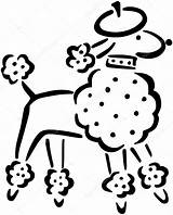 Poodle French Vector Clipart Drawing Stock Getdrawings Clipartmag Clipground sketch template