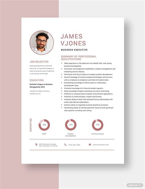 business executive resume  ms word pages