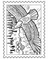 Coloring Eagle Stamp Pages Bald Stamps Activity Sheets Kids Nature Usps Postage Postal Clipart Collecting Birds Printable Library Popular Bluebonkers sketch template