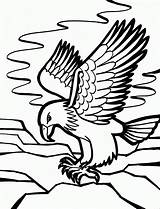 Coloring Pages Bird Downloadable Freely Printable 321coloringpages Via sketch template