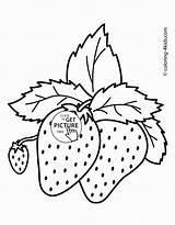 Coloring Strawberry Strawberries Kids Pages Fruits Printable Fruit Drawing Simple Nice Wuppsy Adult Colouring Color Getdrawings Print Clip Shortcake Oranges sketch template