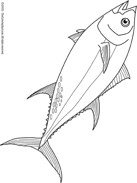 bluefin tuna coloring page audio stories  kids  coloring