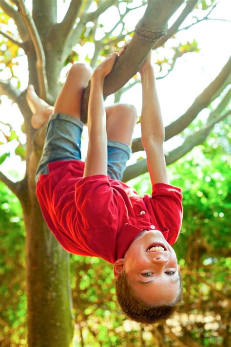 Want To Improve Your Cognitive Abilities Go Climb A Tree