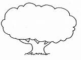 Tree Coloring Pages Trees Popular Book sketch template