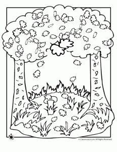 fall season coloring  weather coloring pages fall coloring