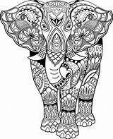 Coloring Elephant Pages Zentangle Mandala Adults Adult Colouring Printables Elephants Animal Printable Book Mandalas Color Diwali Colour Au Drawings Behance sketch template