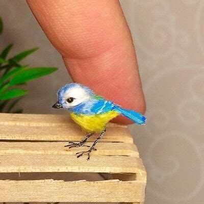 pin   miniature birds  animals