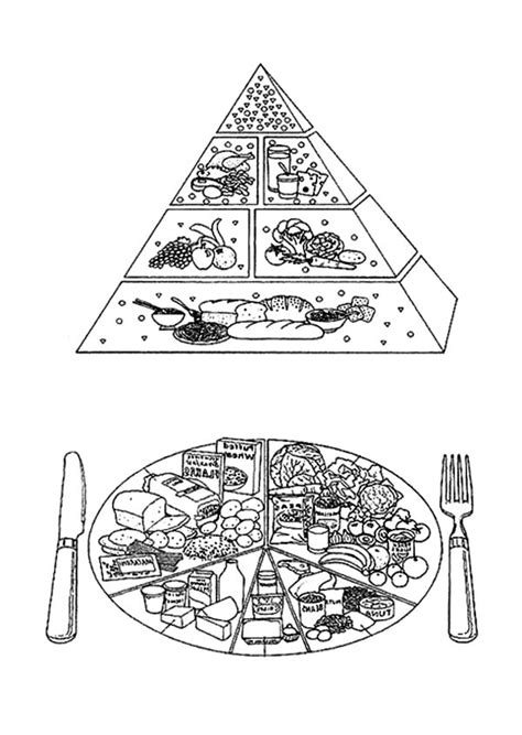 pin  food pyramid coloring pages