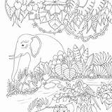 Basford Coloring Johanna Jungle Magical Book Pages Adults Expedition Books Inky Amazon Mandala Adult Color Colour Choose Board sketch template