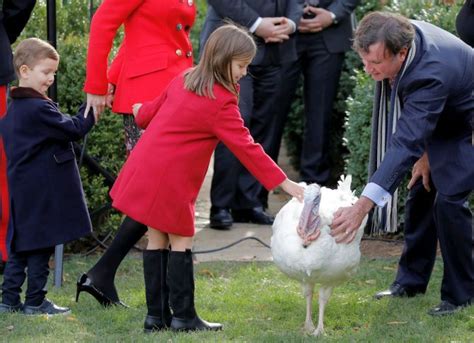 trump pardons thanksgiving turkeys drumstick  wishbone rediffcom india news