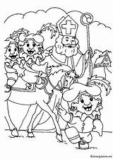 Kleurplaat Sinterklaas Piet Zwarte Kleurplaten Paard Sint Kleuren Pieten Uitprinten Animaatjes Downloaden Vriend Beoordelingen Geen sketch template