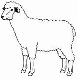 Lambs Coloringsky sketch template