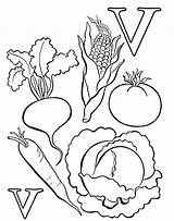 Coloring Vegetable Pages Vegetables Color Kids Nutrition Sheets Print Food Fruits Book Printable Worksheets Fruit Popular Library Clipart Getcolorings Preschool sketch template