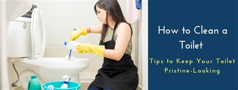 clean  toilet tips    toilet pristine