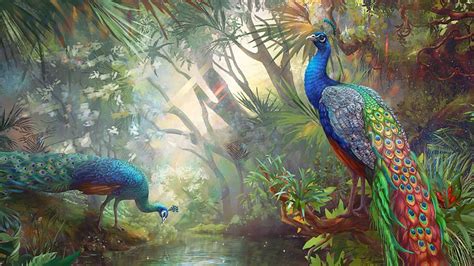 art oil painting drawing terrific peacocks paradise wallpapers hd