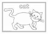 Cat sketch template