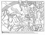 Coloring Pages Habitat Rainforest Animal Camouflage Amazon Color Forest Animals Sheets Habitats Drawing Printable Counts Getdrawings Getcolorings Print Colorings Blooming sketch template