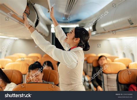 cabin crew images stock  vectors shutterstock